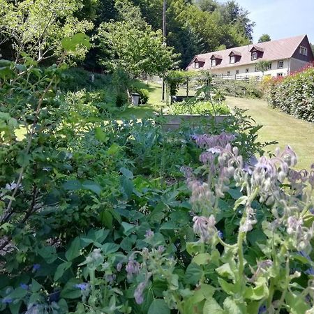 Bed and Breakfast La Climontaine Urbeis Экстерьер фото