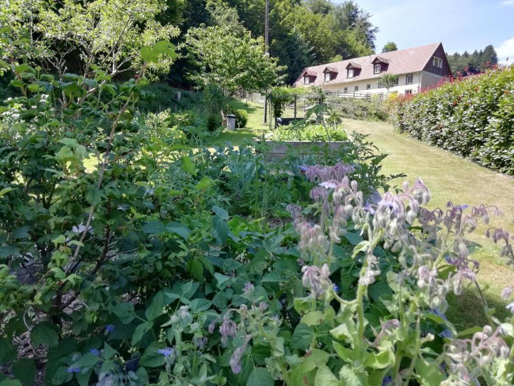 Bed and Breakfast La Climontaine Urbeis Экстерьер фото